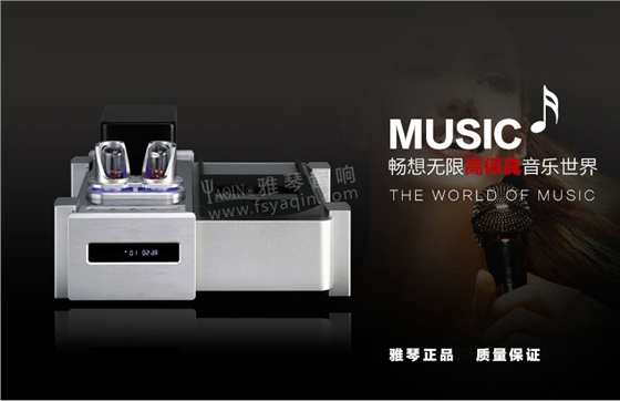 膽機(jī)功放,HI-FI膽機(jī),CD播放器,膽機(jī)生產(chǎn)廠家,雅琴音響