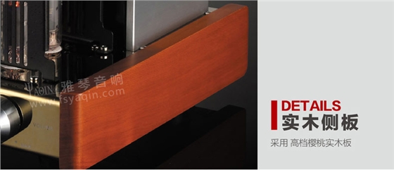 膽機(jī)功放,HI-FI膽機(jī),CD播放器,膽機(jī)生產(chǎn)廠家,雅琴音響