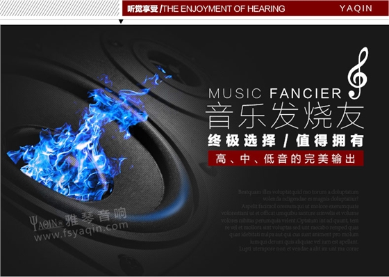 膽機功放,HI-FI膽機,CD播放器,膽機生產(chǎn)廠家,雅琴音響