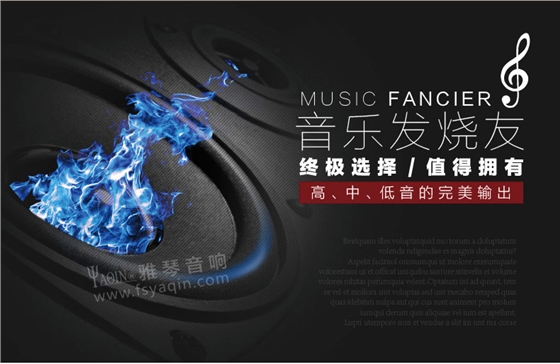 膽機(jī)功放,HI-FI膽機(jī),CD播放器,膽機(jī)生產(chǎn)廠家,雅琴音響