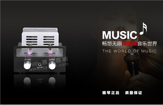 膽機(jī)功放,HI-FI膽機(jī),CD播放器,膽機(jī)生產(chǎn)廠家,雅琴音響