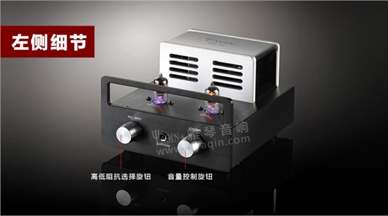 膽機(jī)功放,HI-FI膽機(jī),CD播放器,膽機(jī)生產(chǎn)廠家,雅琴音響