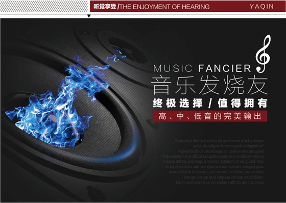 膽機功放,HI-FI膽機,CD播放器,膽機生產(chǎn)廠家,雅琴音響,雅琴MS=845