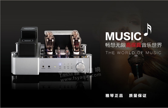 膽機功放,HI-FI膽機,CD播放器,膽機生產(chǎn)廠家,雅琴音響,雅琴MS-2A3