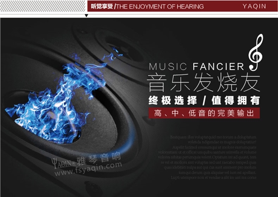 膽機(jī)功放,HI-FI膽機(jī),CD播放器,膽機(jī)生產(chǎn)廠家,雅琴音響,雅琴M(fèi)S-6V6