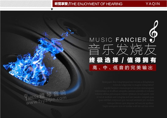 膽機功放,HI-FI膽機,CD播放器,膽機生產廠家,雅琴音響,MC-550C