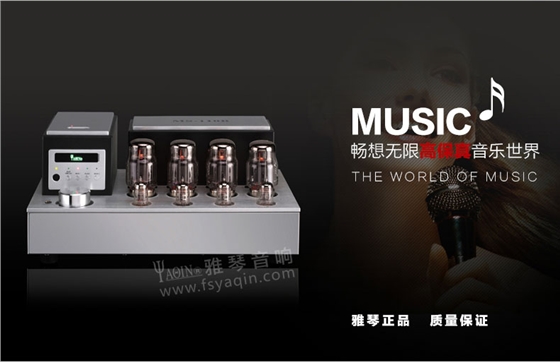 膽機功放,HI-FI膽機,CD播放器,膽機生產(chǎn)廠家,雅琴音響,雅琴MS-110B