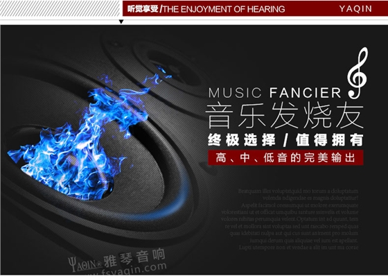 膽機功放,HI-FI膽機,CD播放器,膽機生產(chǎn)廠家,雅琴音響,雅琴MS-110B