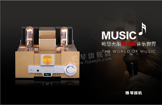 膽機(jī)功放,HI-FI膽機(jī),CD播放器,膽機(jī)生產(chǎn)廠家,雅琴音響,雅琴M(fèi)S-650B