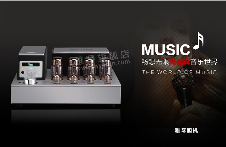 膽機功放,HI-FI膽機,CD播放器,膽機生產(chǎn)廠家,雅琴音響,雅琴MS-110B