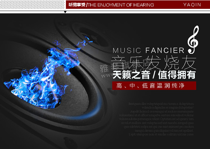 膽機(jī)功放,HI-FI膽機(jī),CD播放器,膽機(jī)生產(chǎn)廠家,雅琴音響